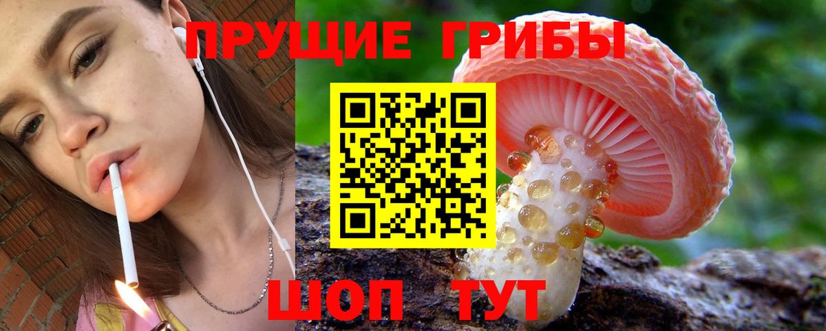 Галлюциногенные грибы Psilocybine cubensis  Вход с VPN  Галлюциногенные грибы мухоморы  Серпухов 