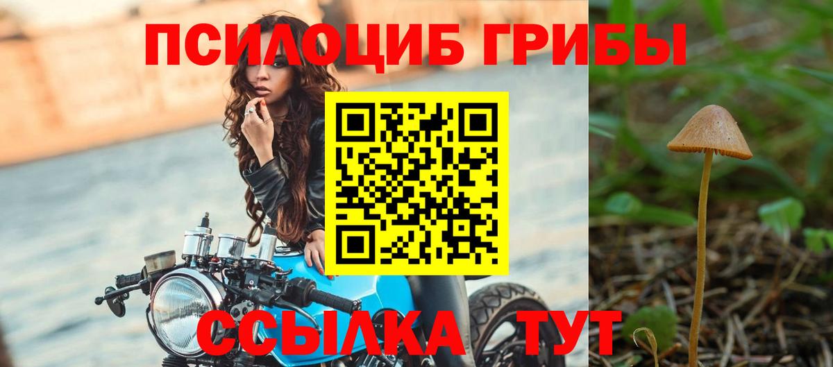 Галлюциногенные грибы GOLDEN TEACHER Серпухов